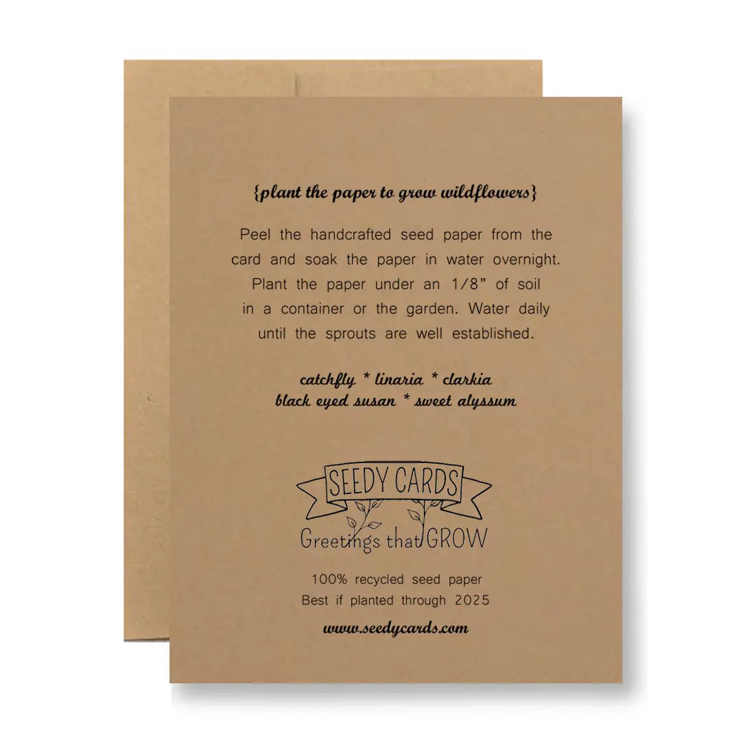 Plantable Seed Paper Greeting Card - Sorry I Acted Weird...