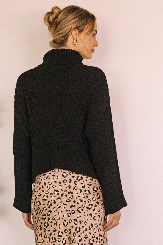 Textured Turtle Neck Sweater