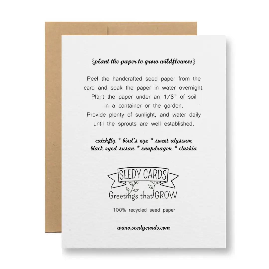 Plantable Seed Paper Greeting Card - ...Taco 'bout It