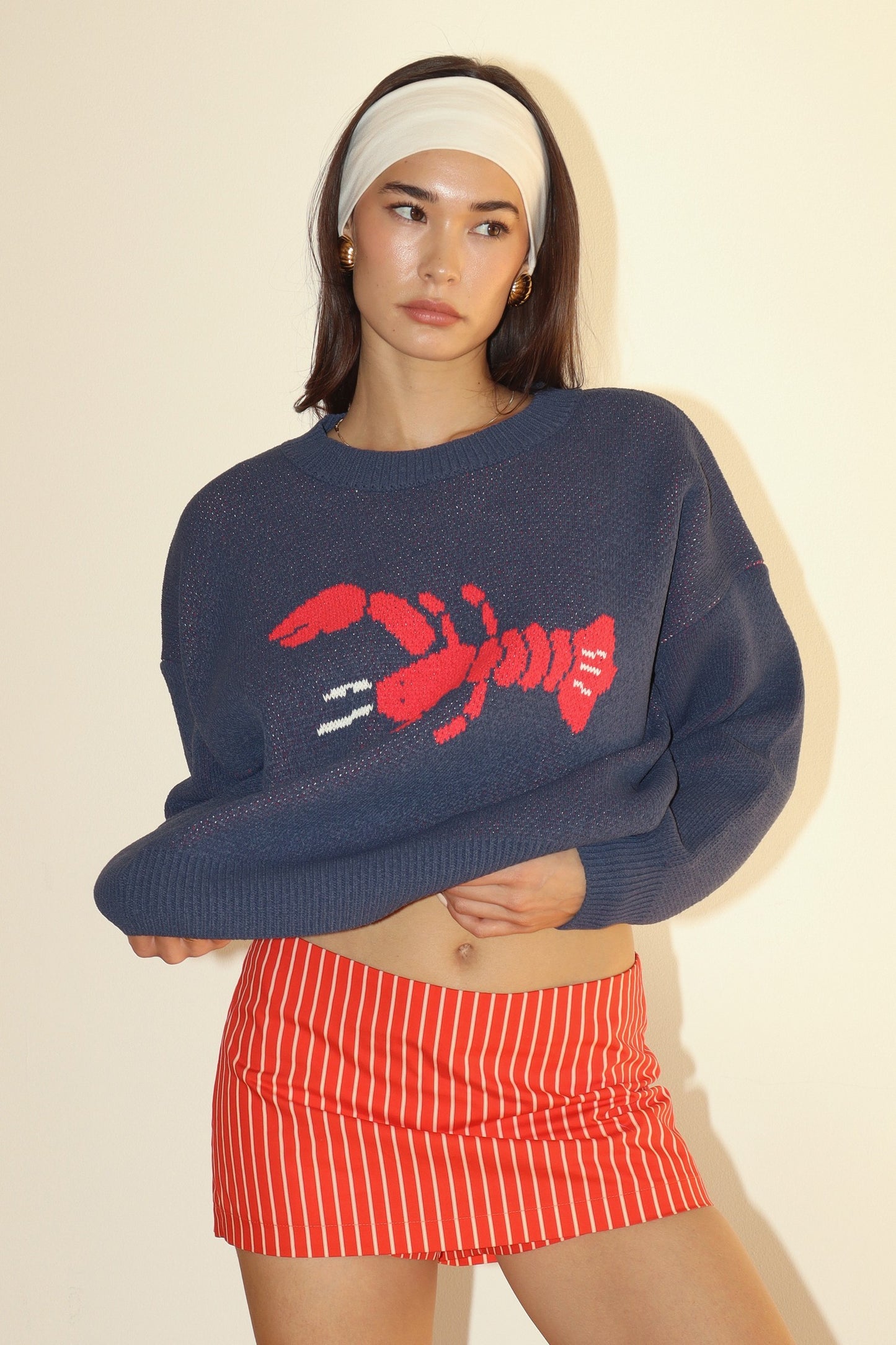 lobster knit round neck sweater