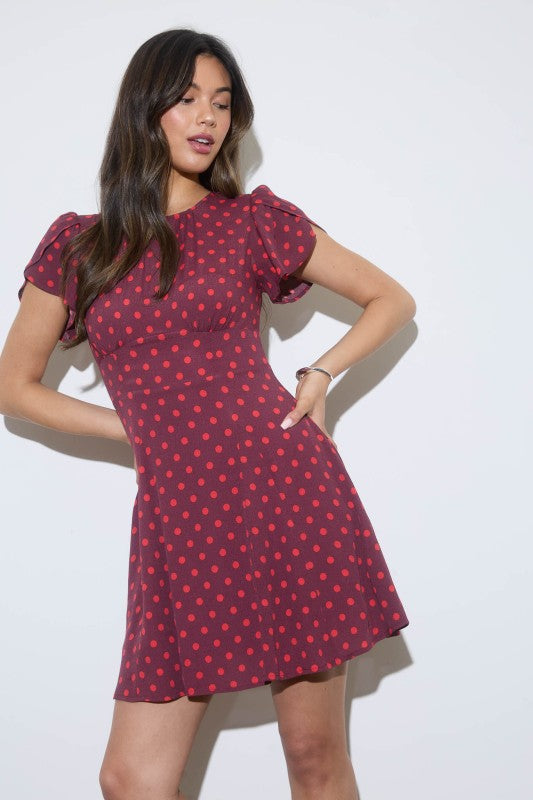 Polka Dot Mini Dress