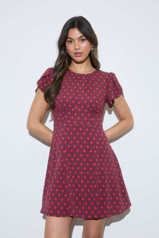 Polka Dot Mini Dress