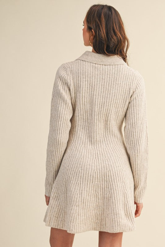Ribbed Sweater Flared Mini Dress