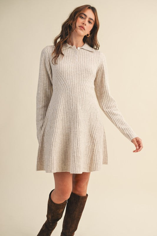 Ribbed Sweater Flared Mini Dress