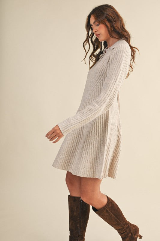 Ribbed Sweater Flared Mini Dress
