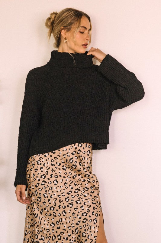 Textured Turtle Neck Sweater