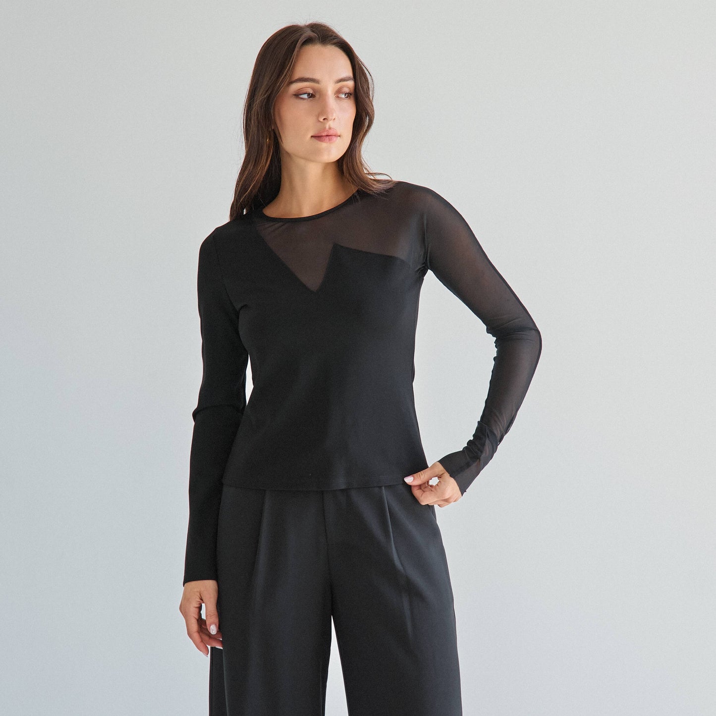 semi sheer long sleeve top