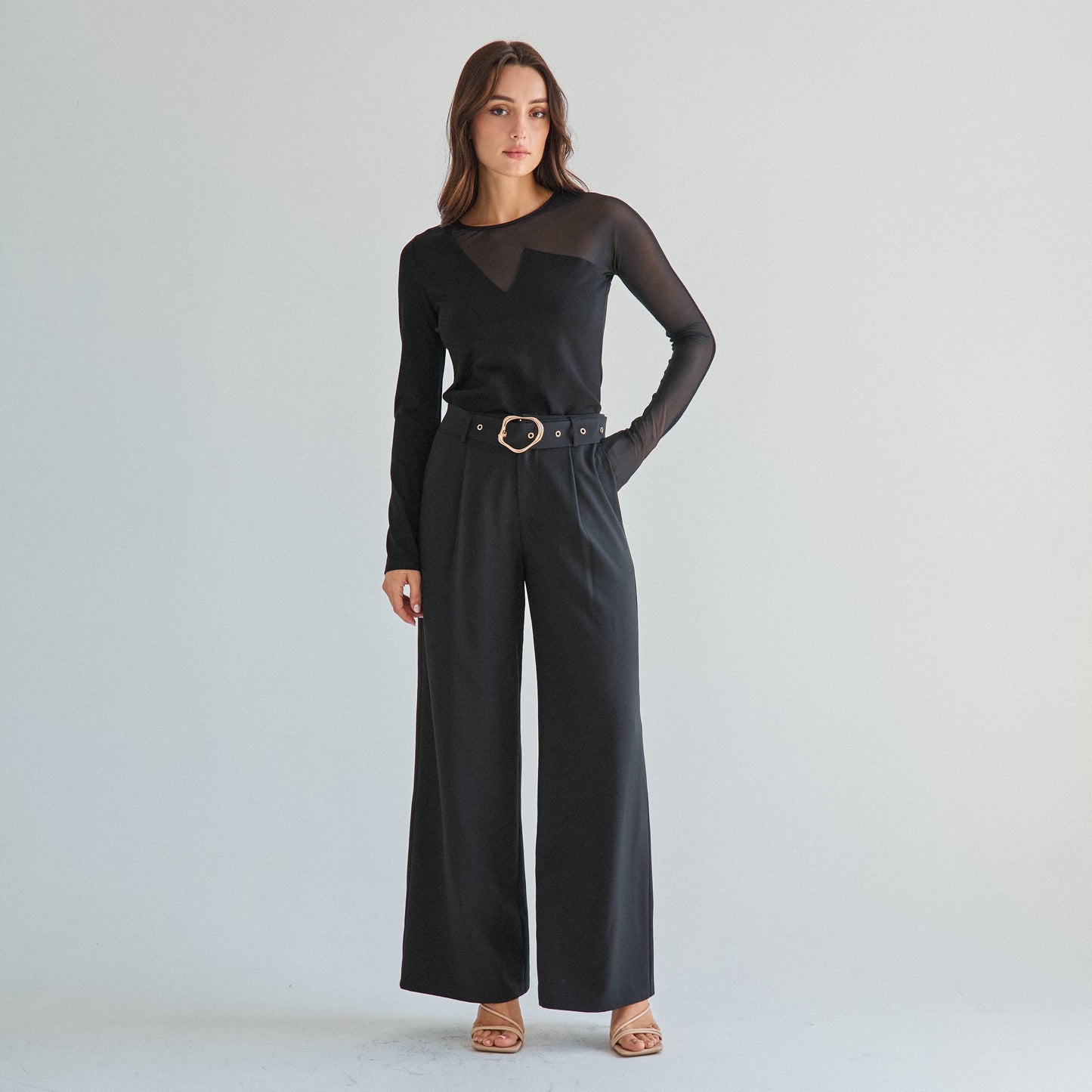 semi sheer long sleeve top