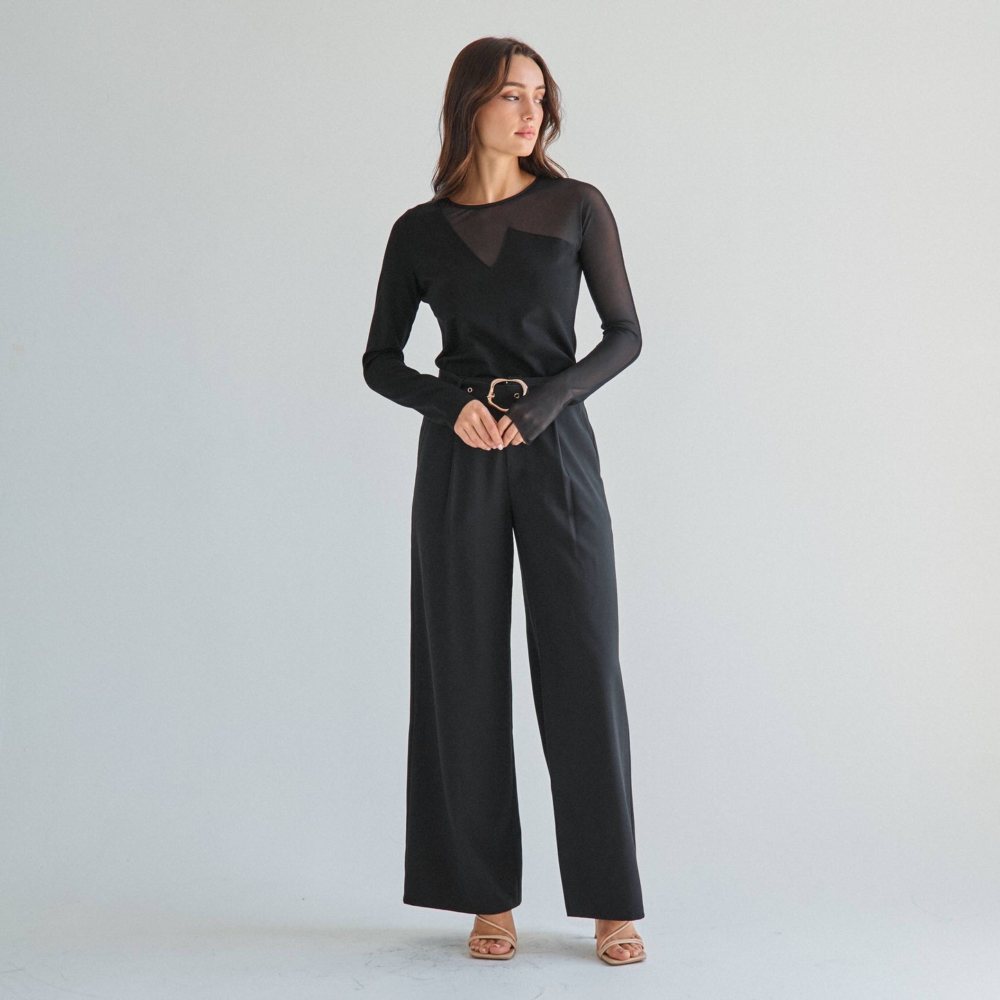 semi sheer long sleeve top