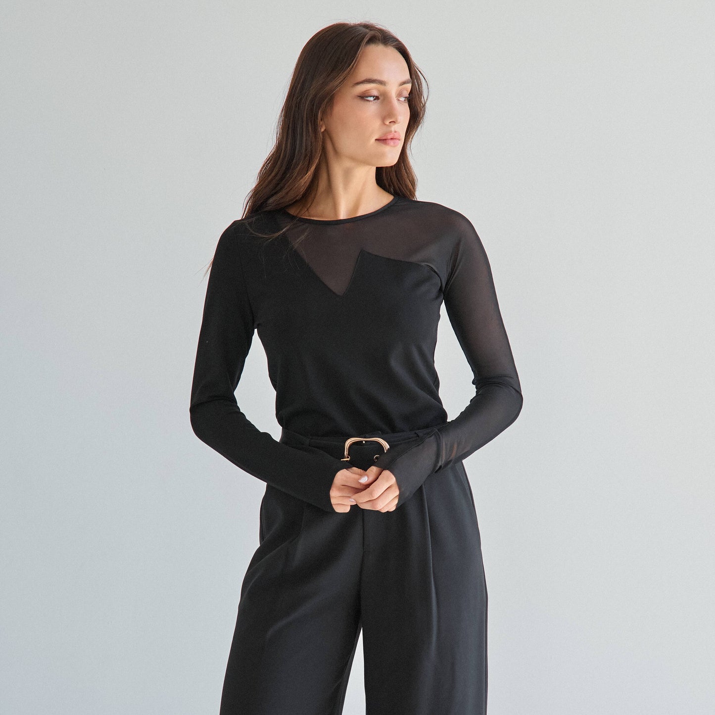 semi sheer long sleeve top