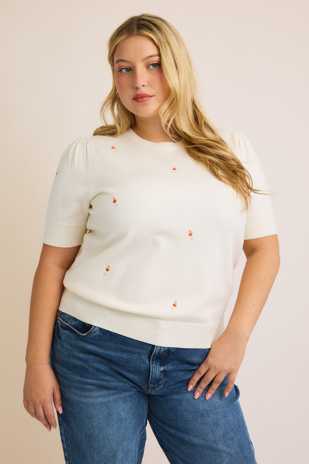 aperol embroidered sweater tee-curvy