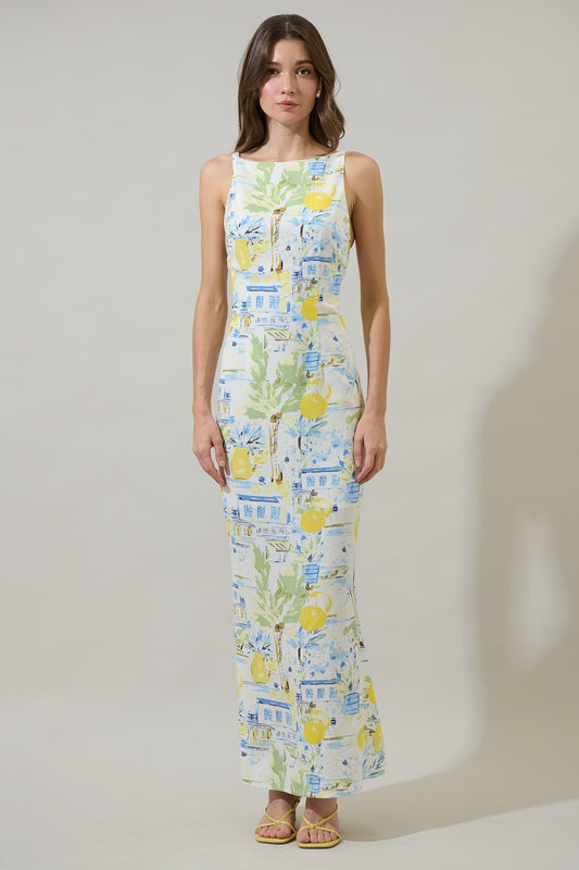 bart town midi dress