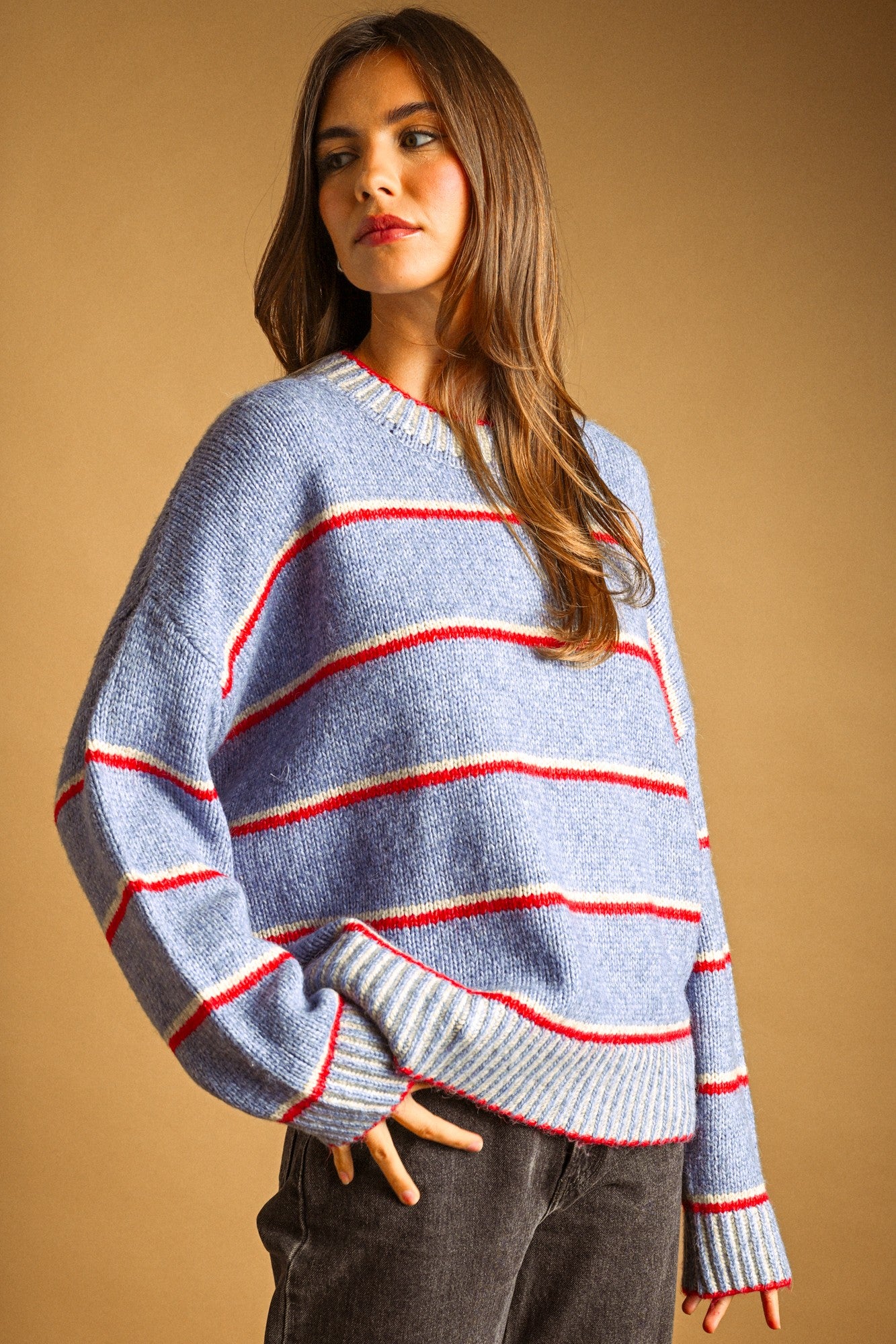 class in session sweater