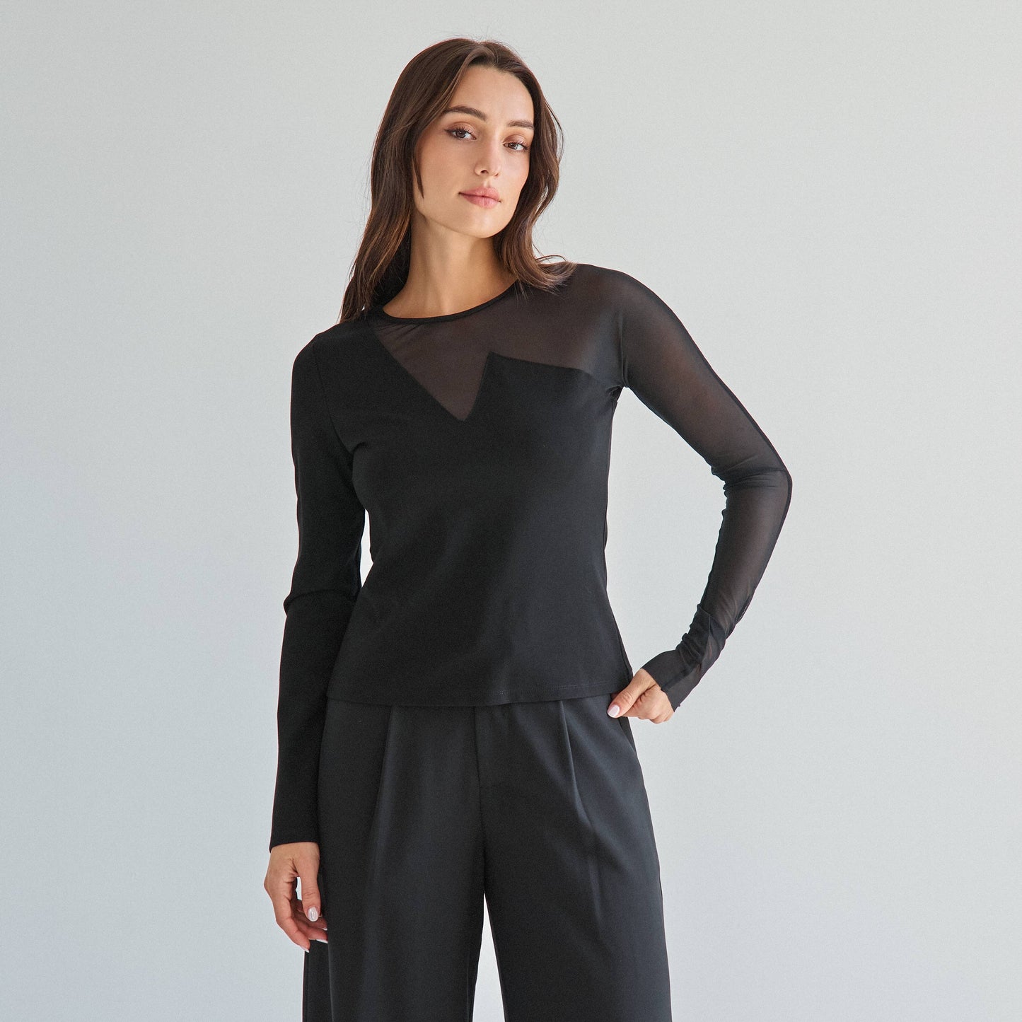 semi sheer long sleeve top