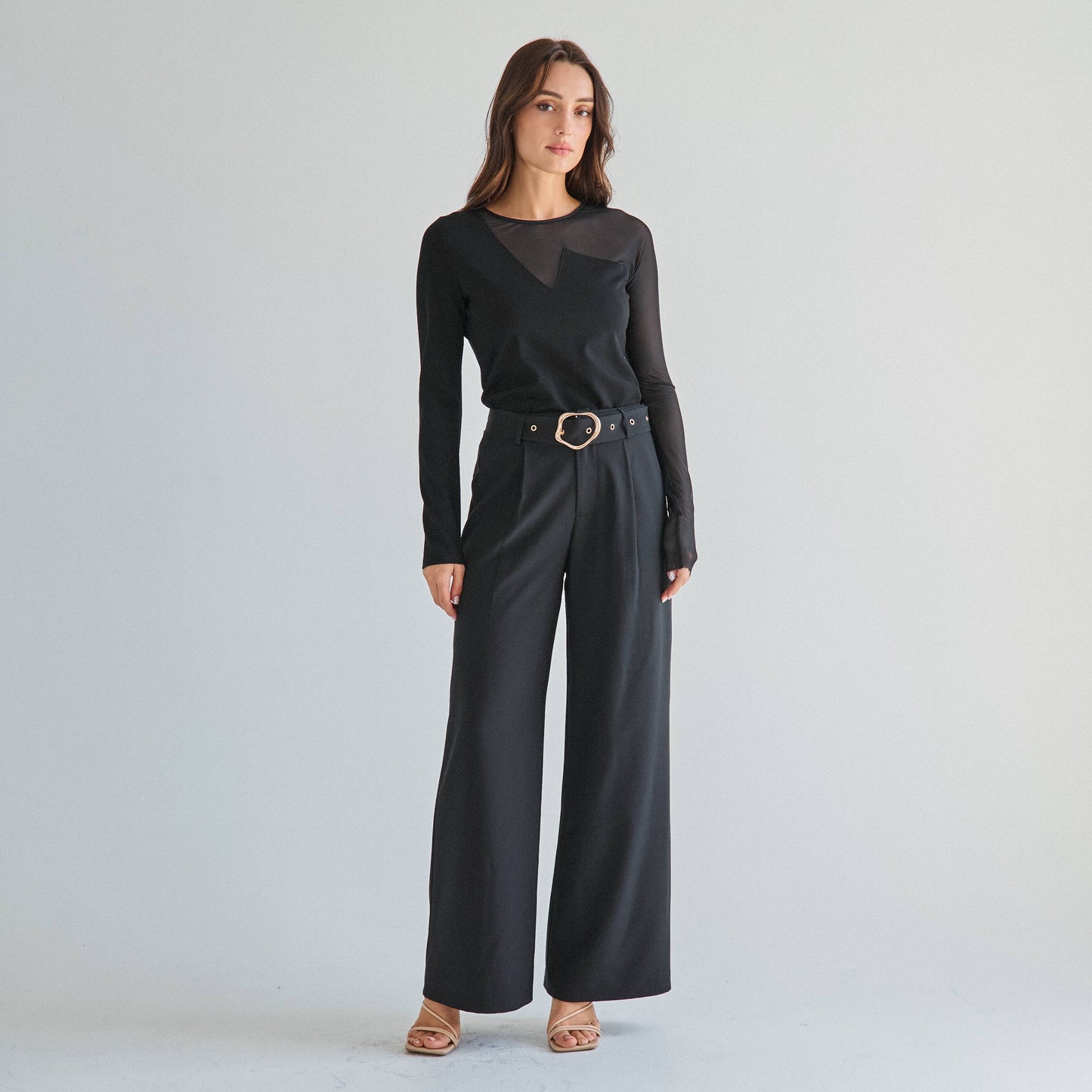 semi sheer long sleeve top