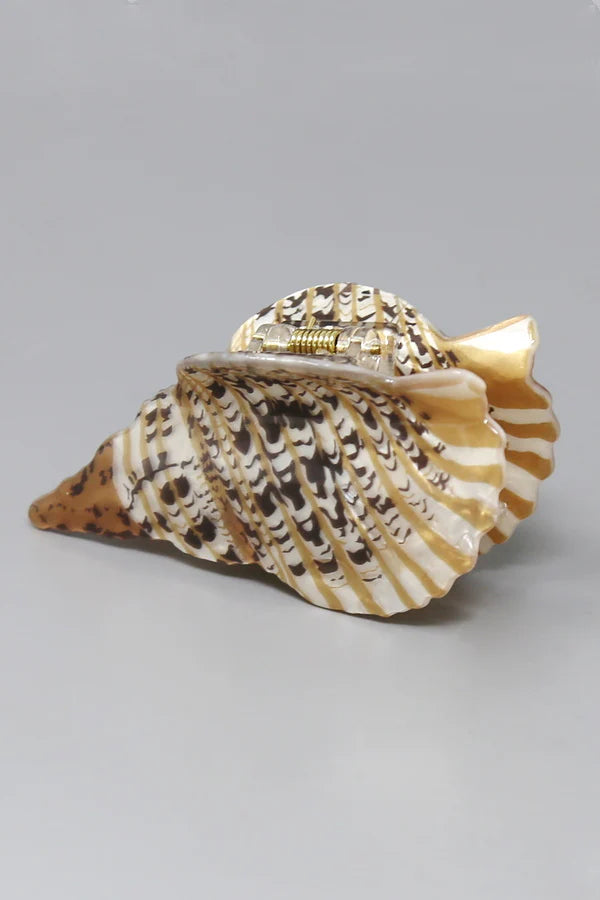 Shell Acrylic Hair Clip