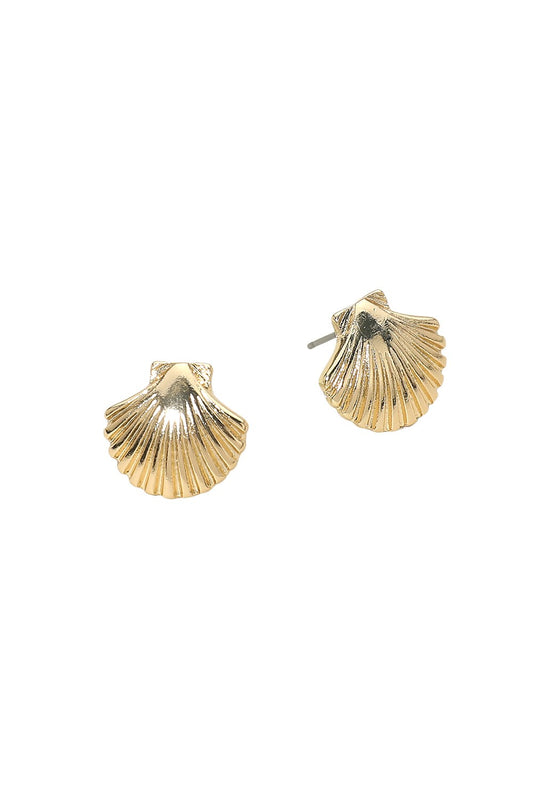 seashell stud earrings