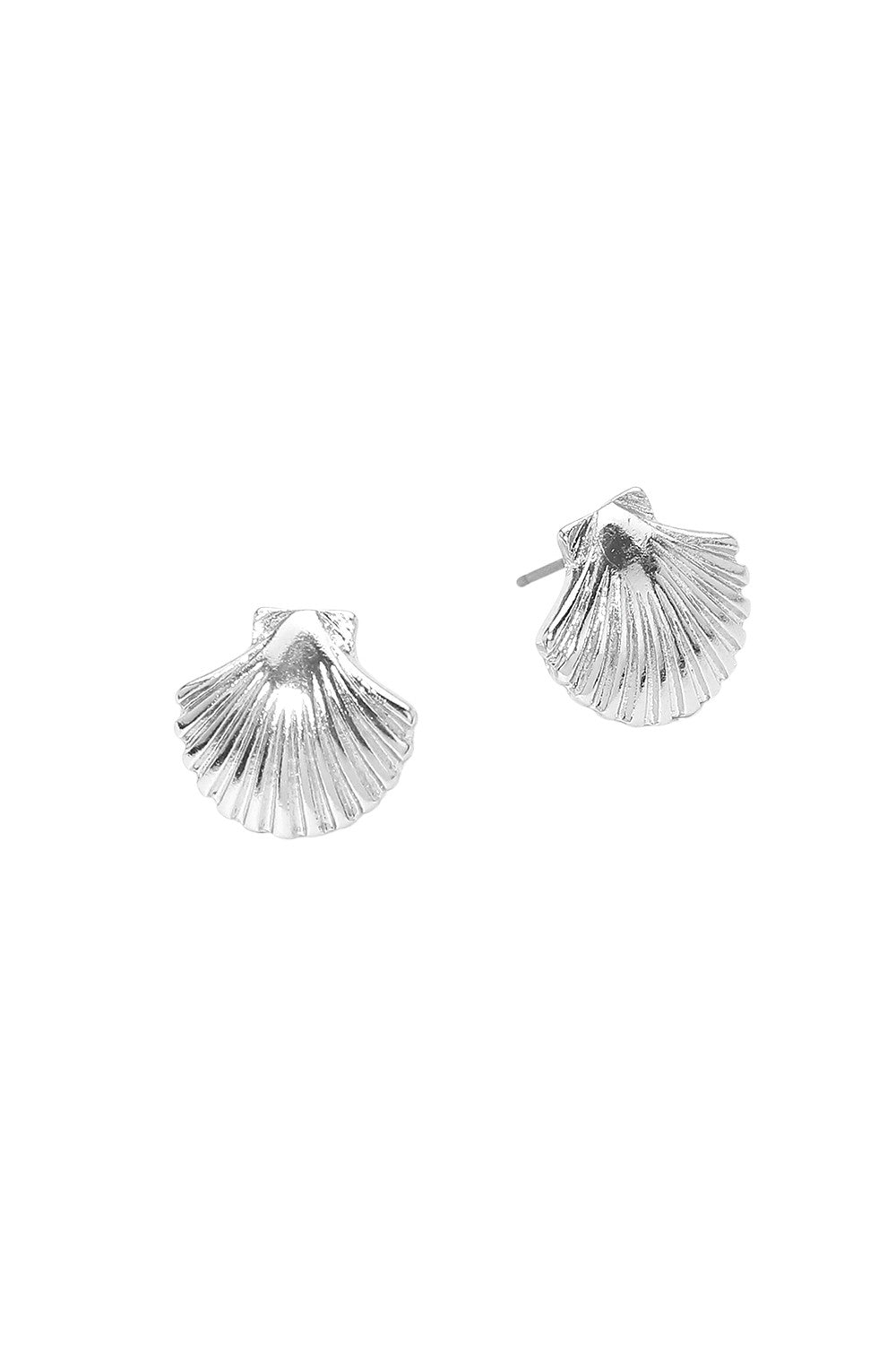 seashell stud earrings