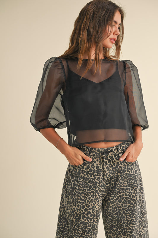 sheer perfection blouse